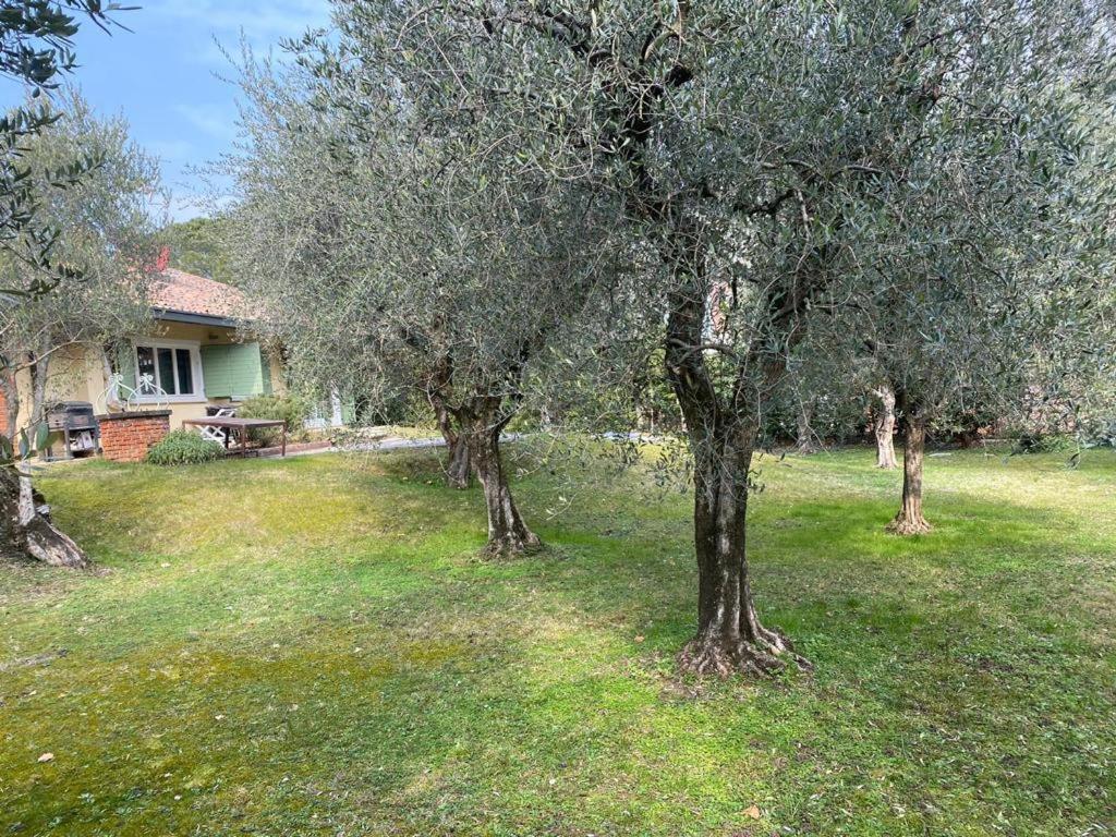 Villa Sweet Flower - With Private Pool And Garden Манерба-дель-Гарда Экстерьер фото