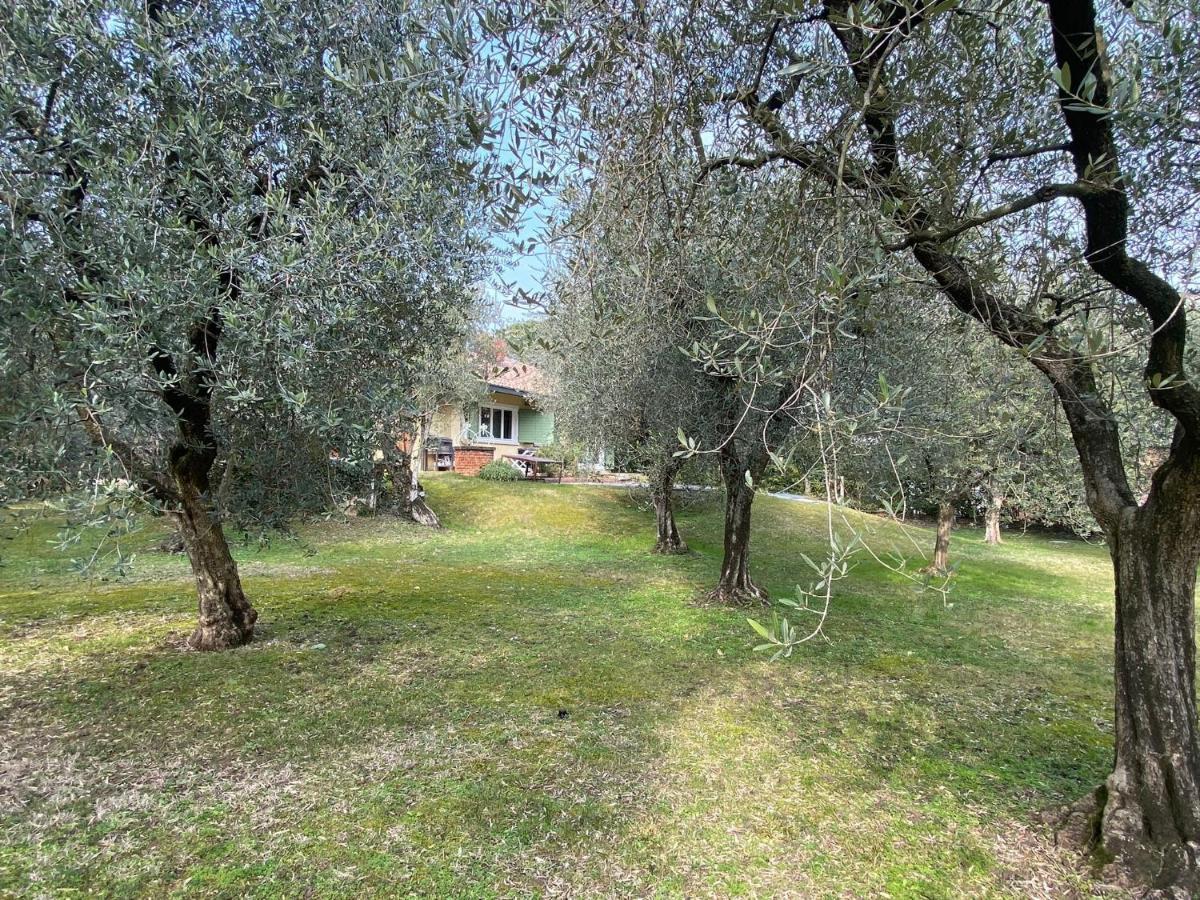 Villa Sweet Flower - With Private Pool And Garden Манерба-дель-Гарда Экстерьер фото