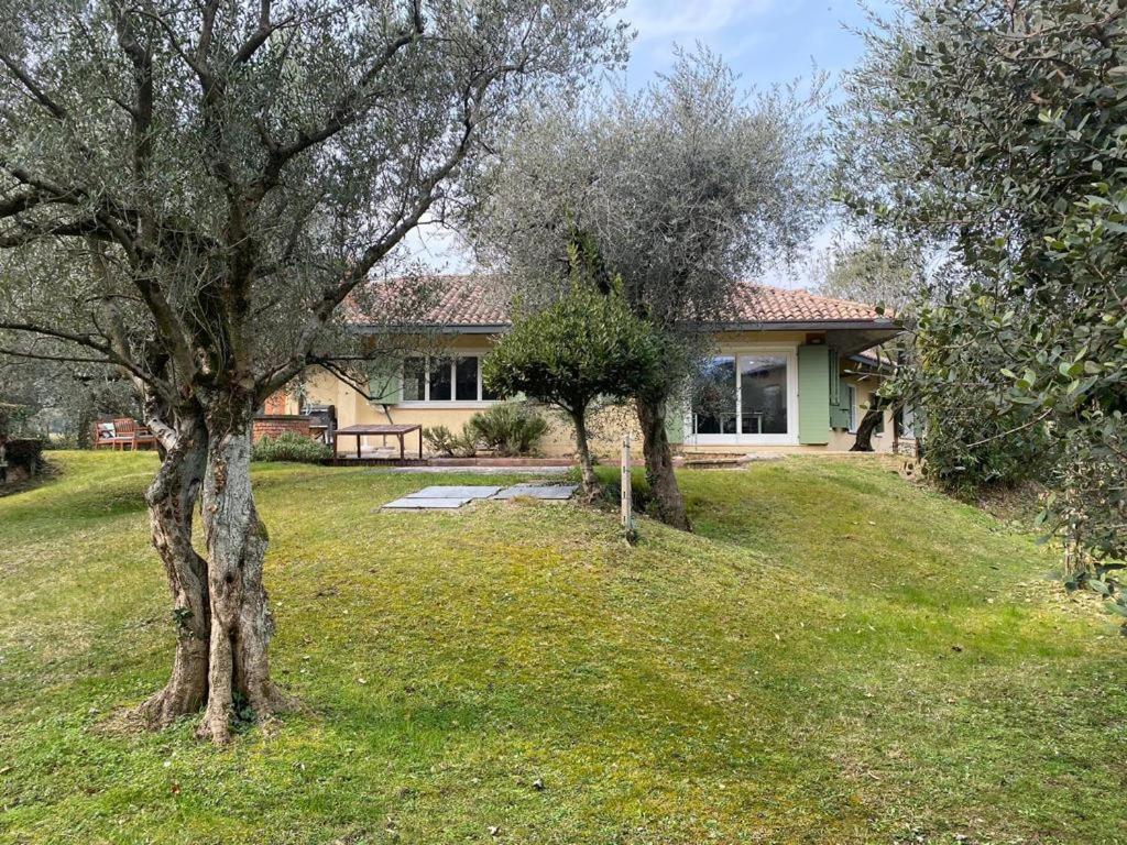 Villa Sweet Flower - With Private Pool And Garden Манерба-дель-Гарда Экстерьер фото
