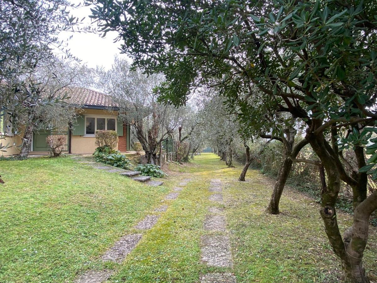Villa Sweet Flower - With Private Pool And Garden Манерба-дель-Гарда Экстерьер фото